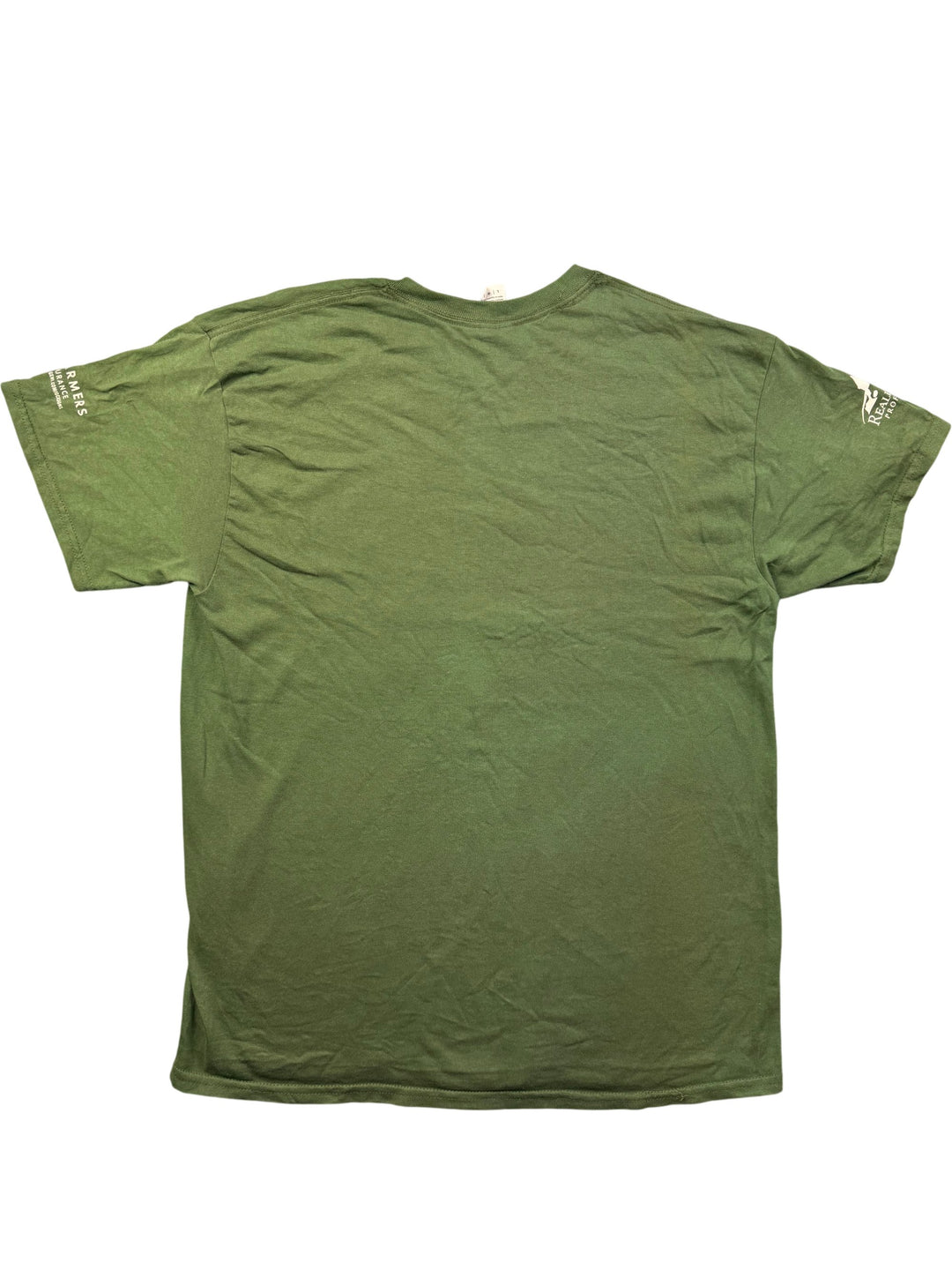 Potomac Nationals Gildan Green T-Shirt - L - Think Vintage ltd