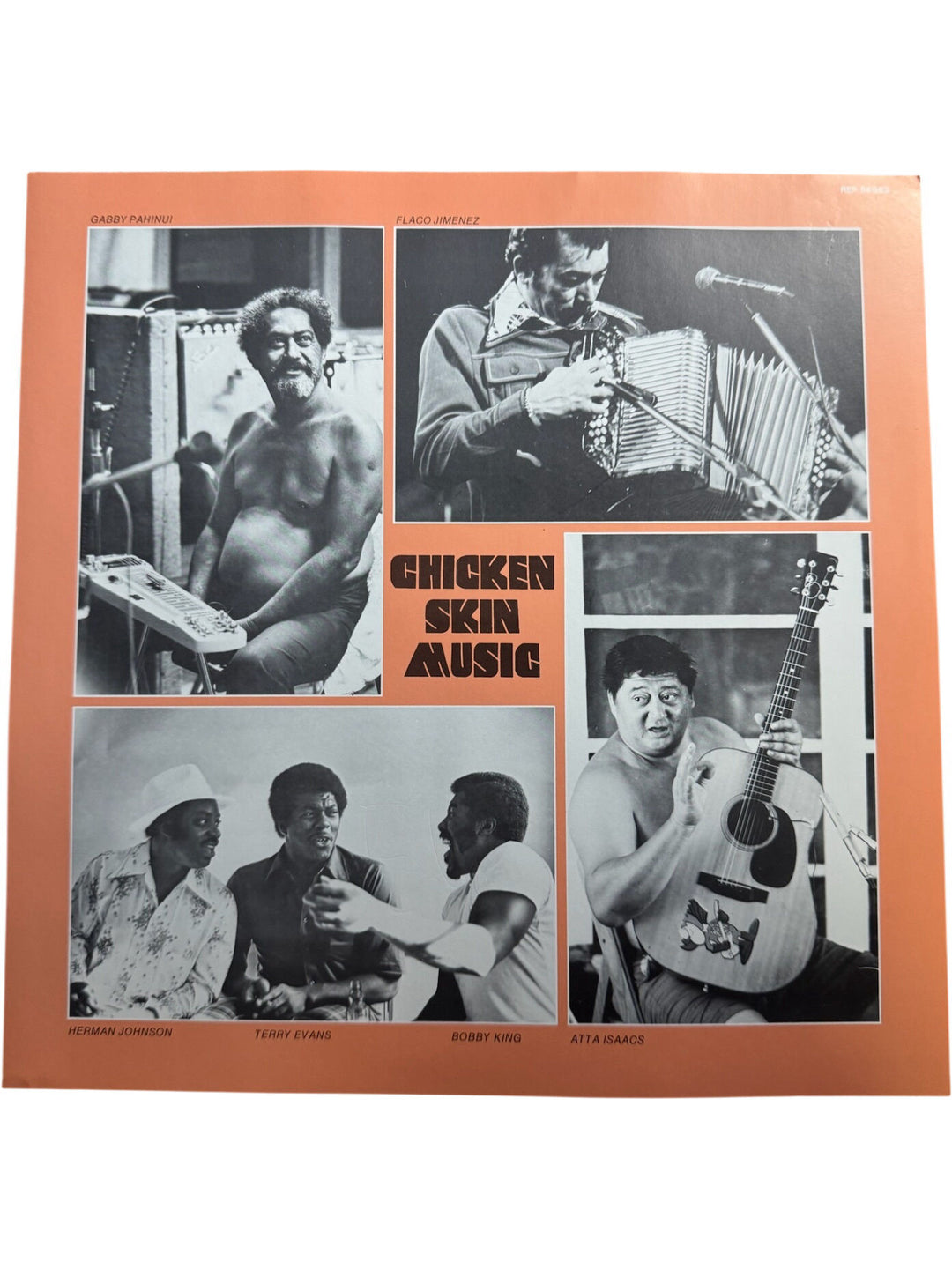 Ry Cooder Chicken Skin Music Vinyl - Very Good+