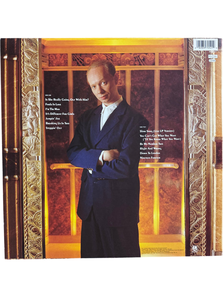 Stepping Out The Very Best Of Joe Jackson Vinyl - Think Vintage