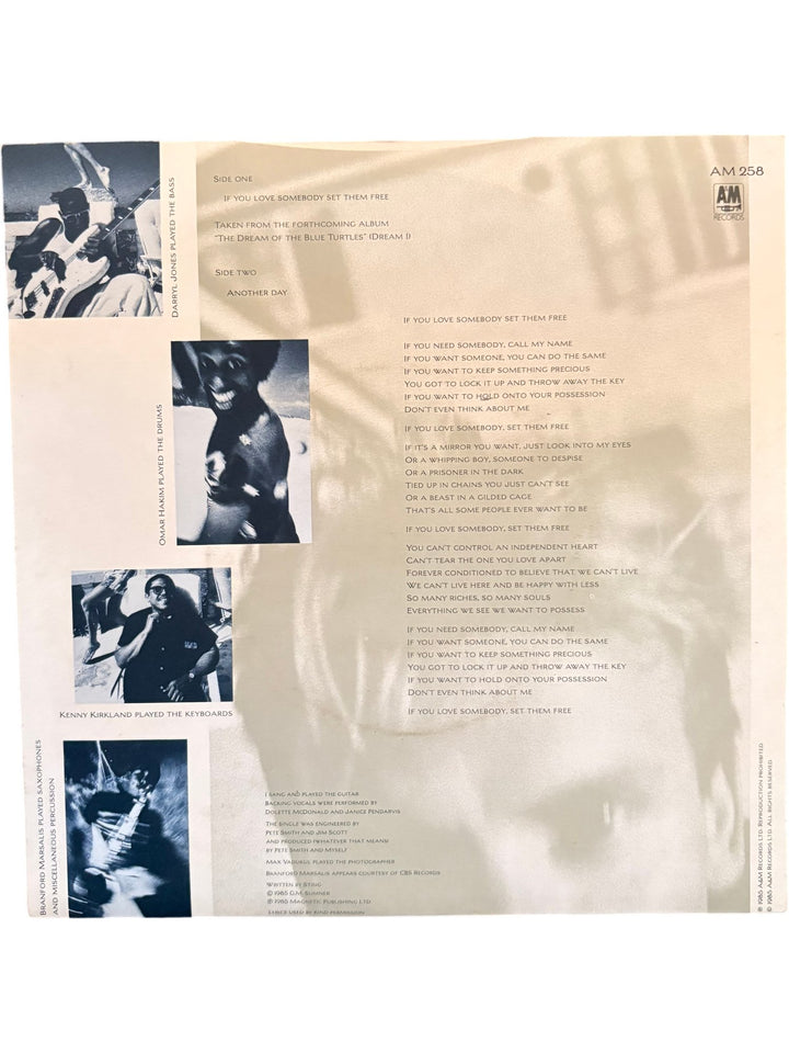 Sting If You Love Somebody Set Them Free Vinyl Record - Good - Think Vintage ltd