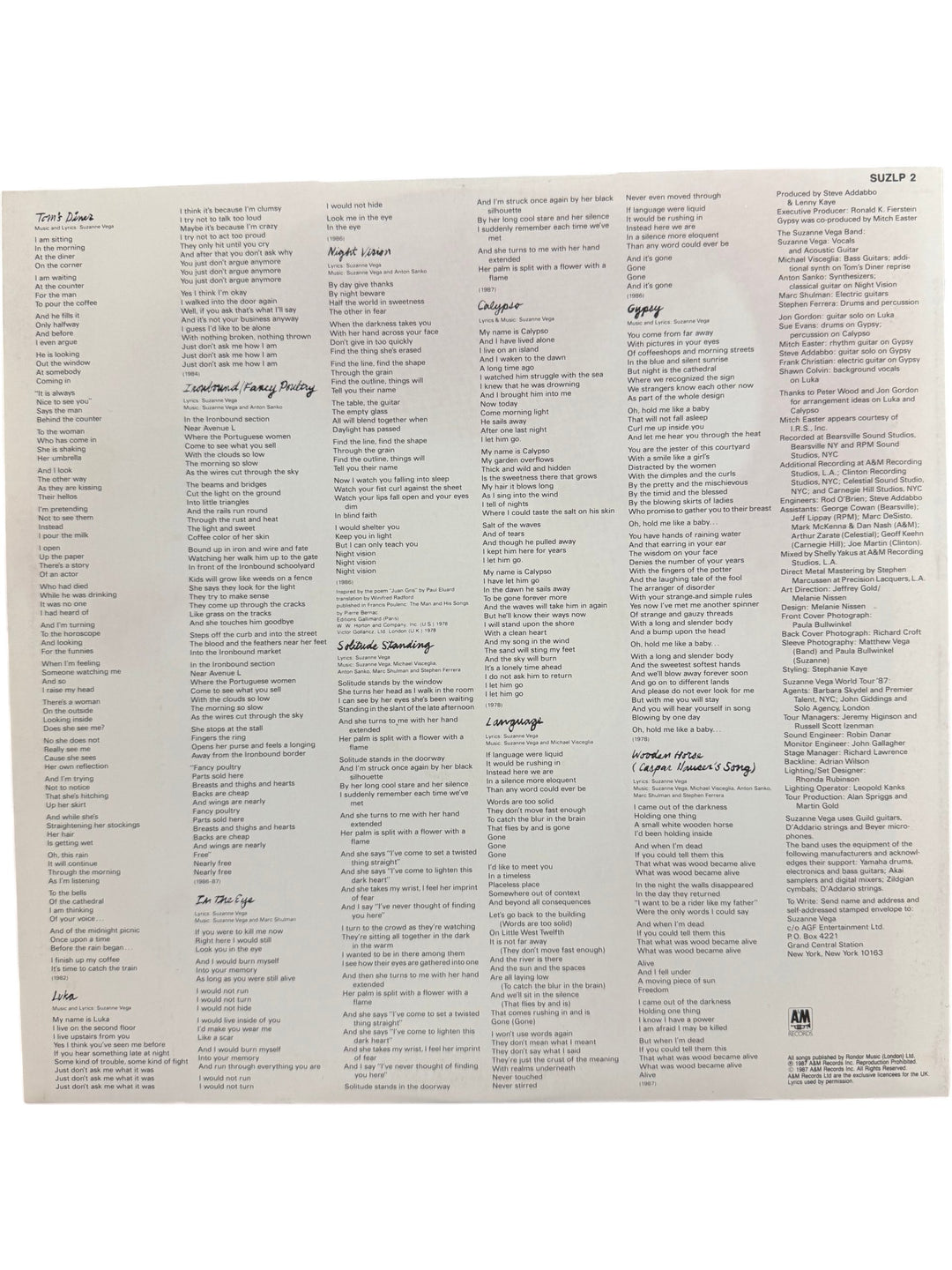 Suzanne Vega Solitude Standing Vinyl Record - Think Vintage