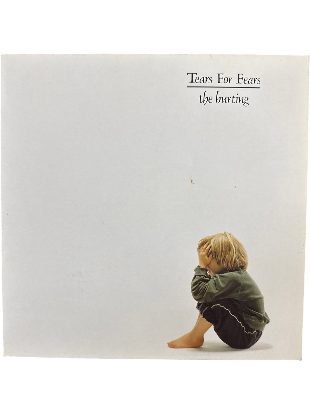 The Hurting Vinyl Record by Tears For Fears - Think Vintage
