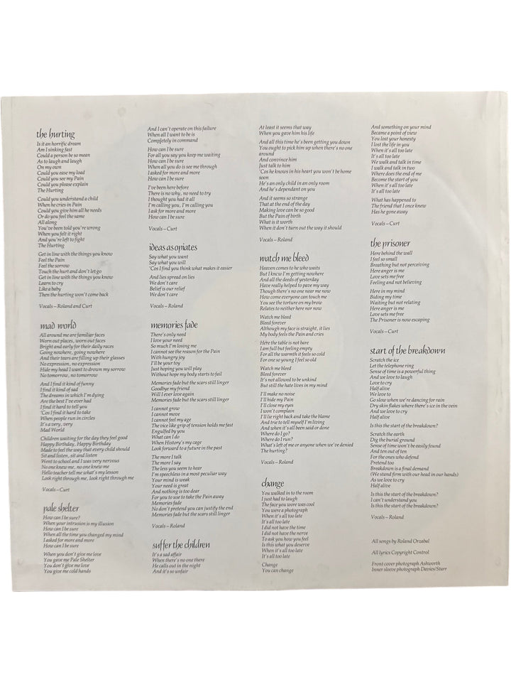 The Hurting Vinyl Record by Tears For Fears - Think Vintage