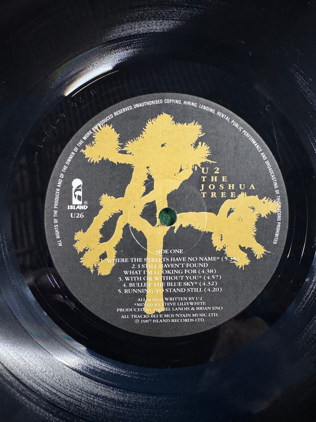 The Joshua Tree Vinyl Album - Think Vintage