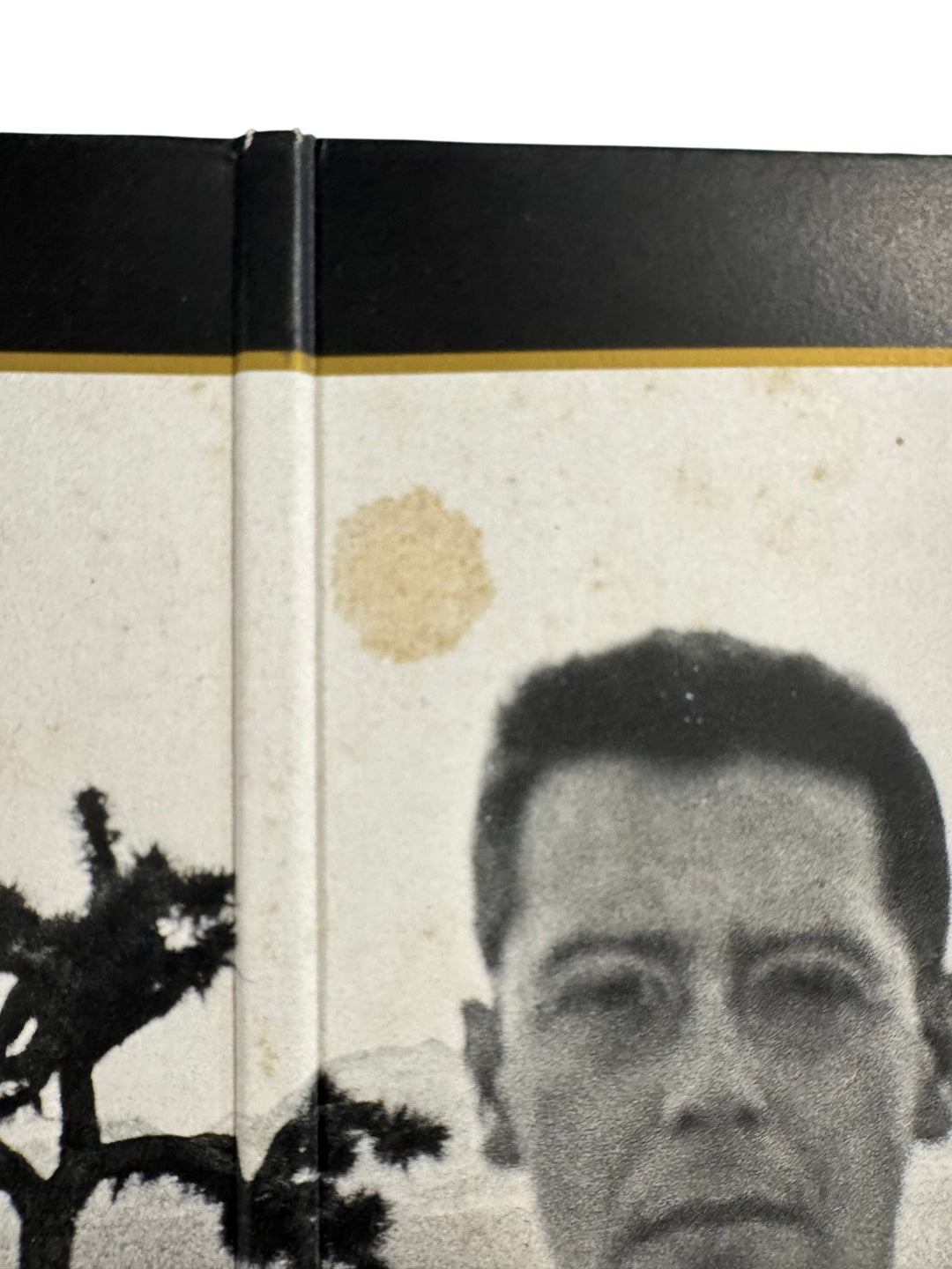 The Joshua Tree Vinyl Album - Think Vintage Online Ltd