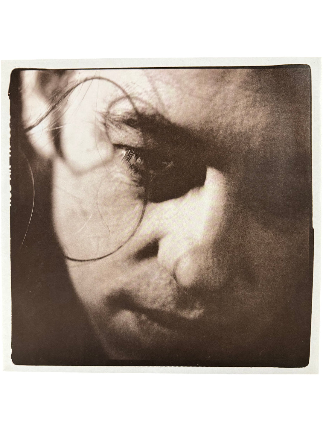 The Vegetarians Of Love Vinyl Record - Think Vintage