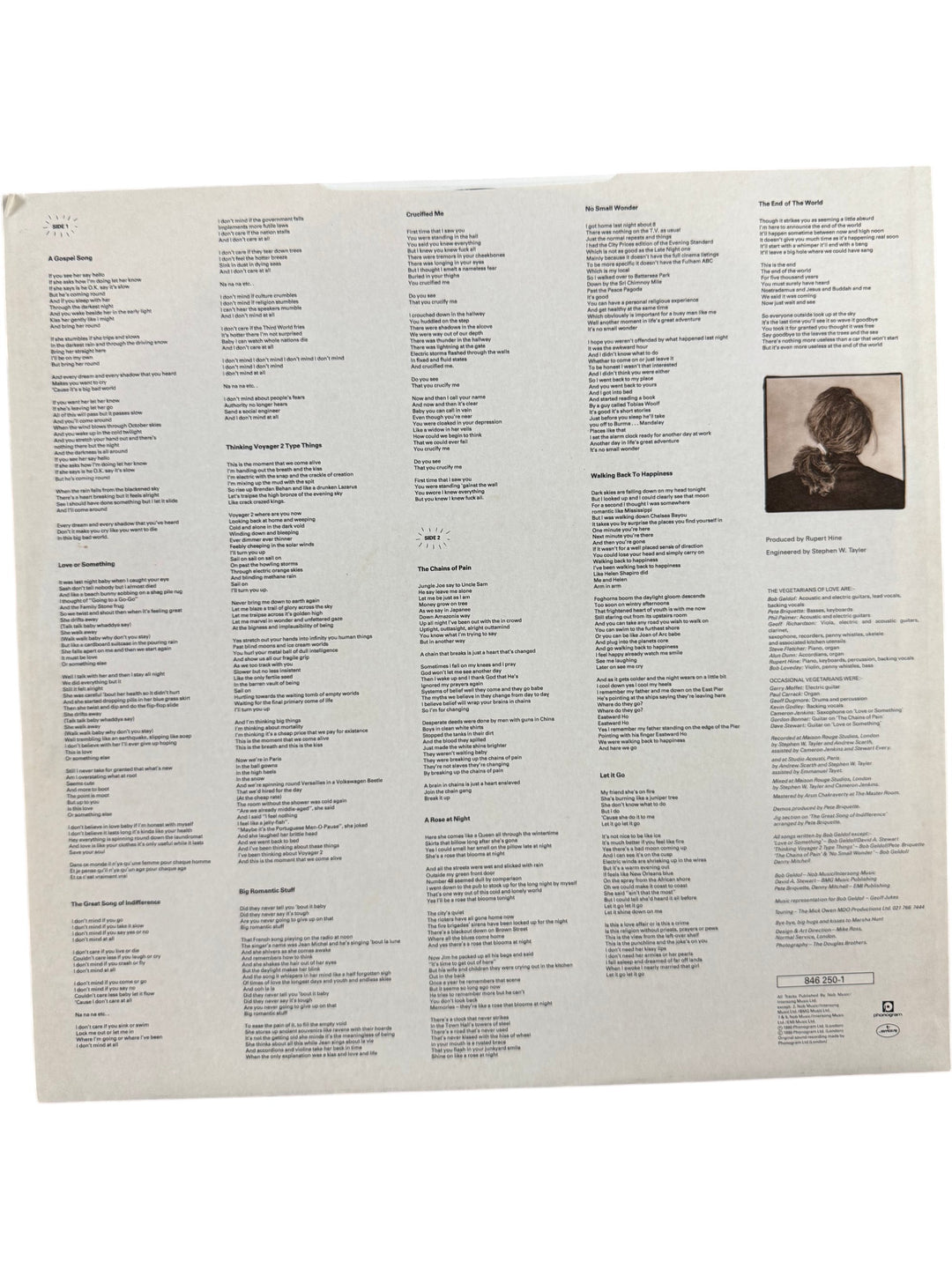 The Vegetarians Of Love Vinyl Record - Think Vintage