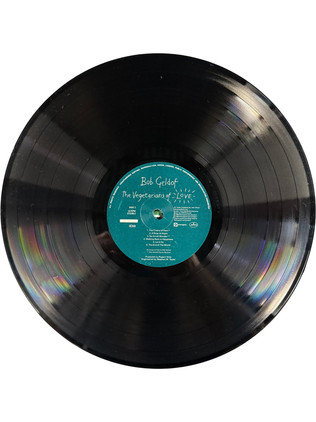 The Vegetarians Of Love Vinyl Record - Think Vintage