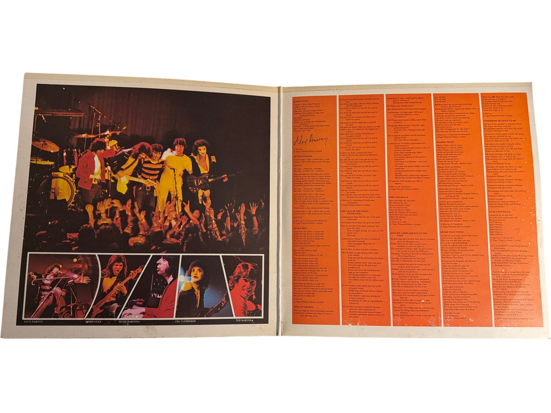 Tomorrow Belongs To Me Album - Good - Think Vintage ltd