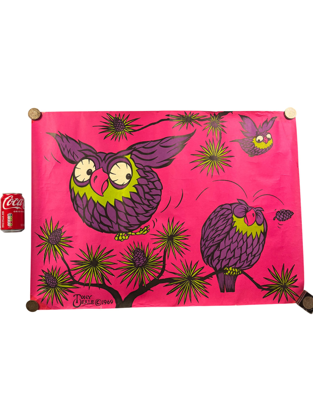 Tony Beale Colourful Owl Art Poster Vintage Psychedelic Retro Design - Think Vintage ltd