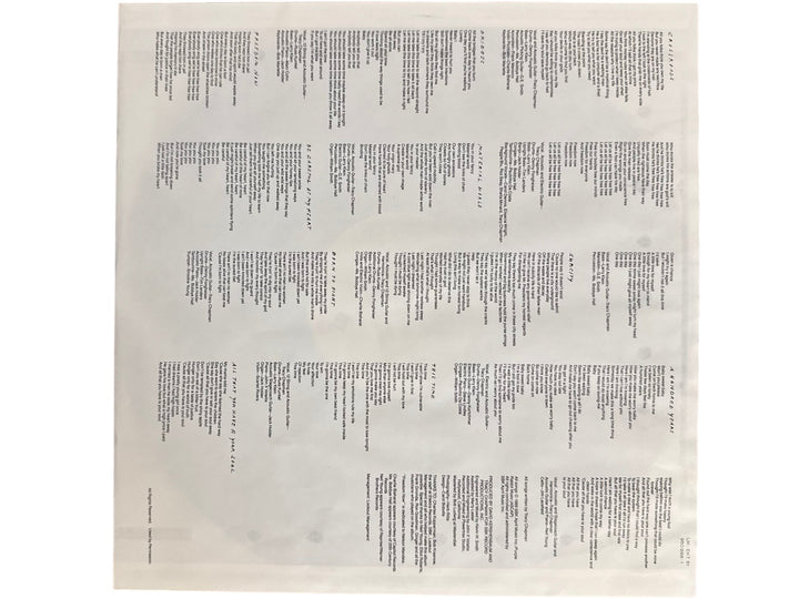 Tracy Chapman Crossroads Vinyl Record - Think Vintage