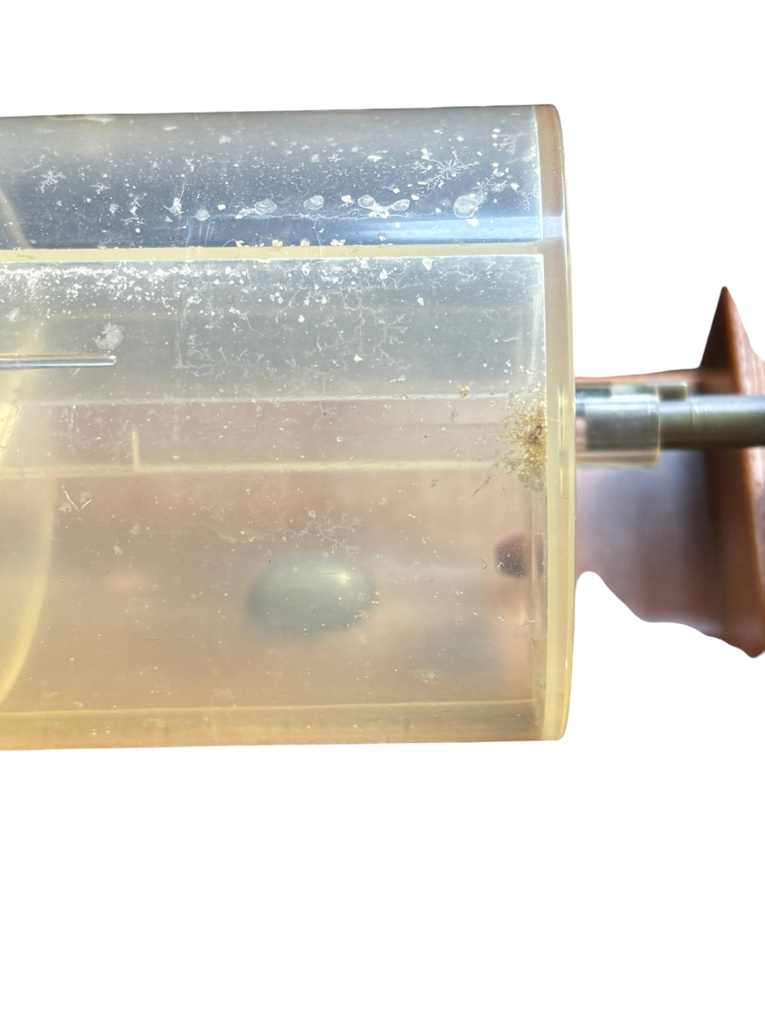 Wallace & Gromit Snack Time Alarm Cracking Contraption Novelty Gadget - Think Vintage Online Ltd