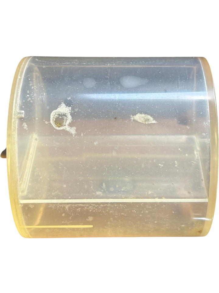 Wallace & Gromit Snack Time Alarm Cracking Contraption Novelty Gadget - Think Vintage ltd