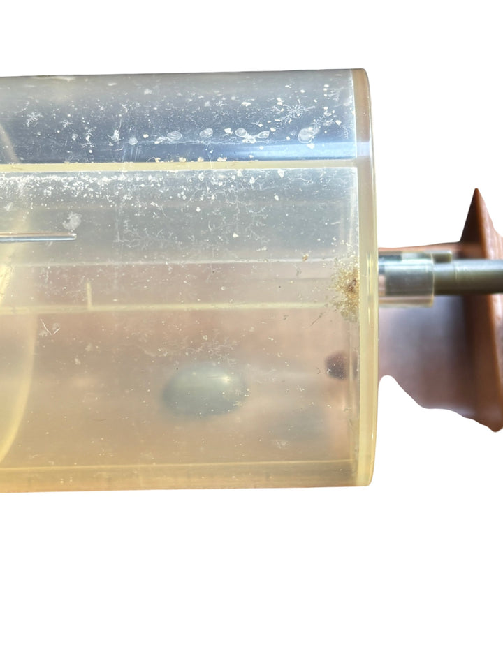 Wallace & Gromit Snack Time Alarm Cracking Contraption Novelty Gadget - Think Vintage ltd