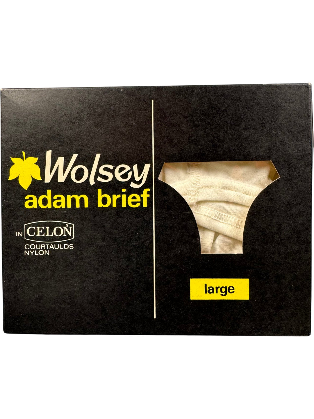 Wolsey Adam Brief in Celon Nylon - Think Vintage ltd