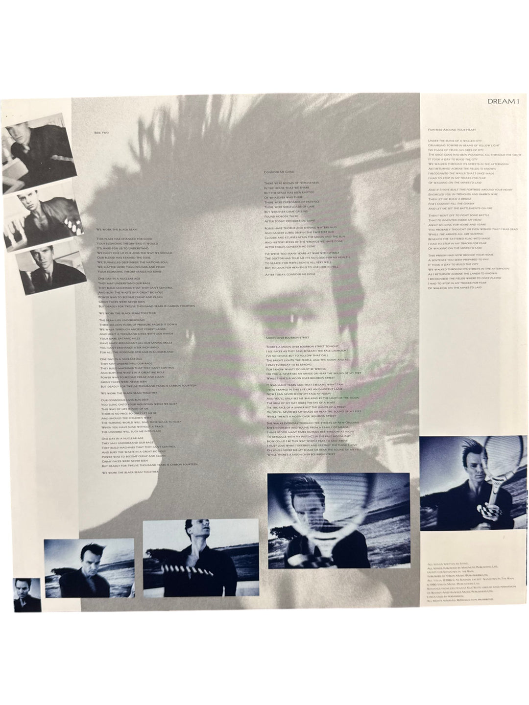 1980s Sting The Dream of the Blue Turtles Vinyl Record - Think Vintage