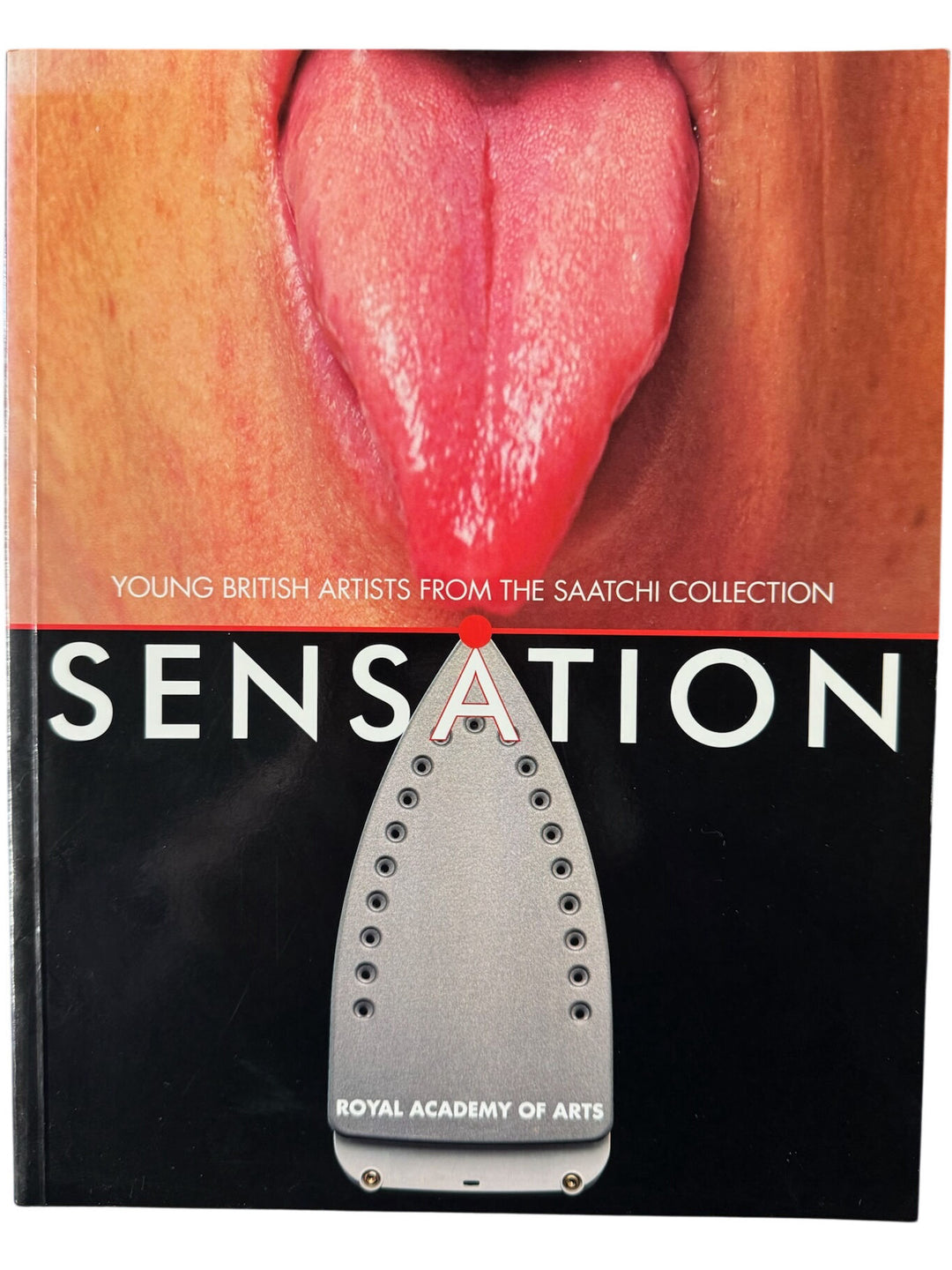 Young British Artists Saatchi Collection Book