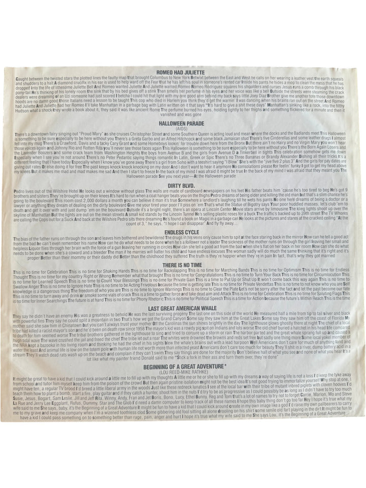 Lou Reed New York Album Record - Good