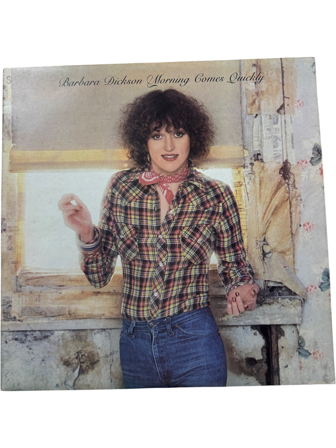 Barbara Dickson Morning Comes Quickly Vinyl Record - Very Good+