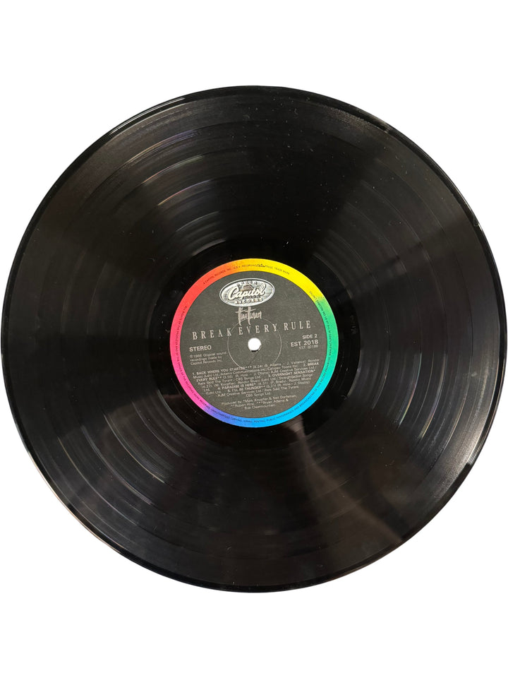 1986 Break Every Rule Vinyl Record by Tina Turner - Think Vintage