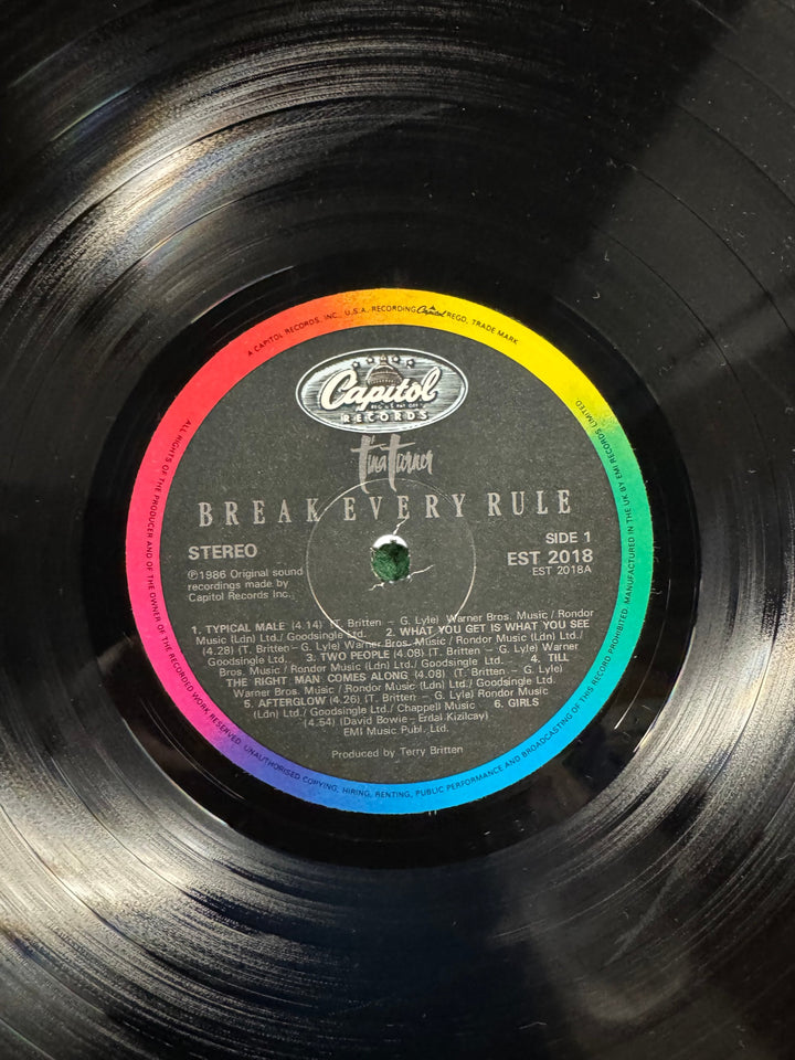 1986 Break Every Rule Vinyl Record by Tina Turner - Think Vintage