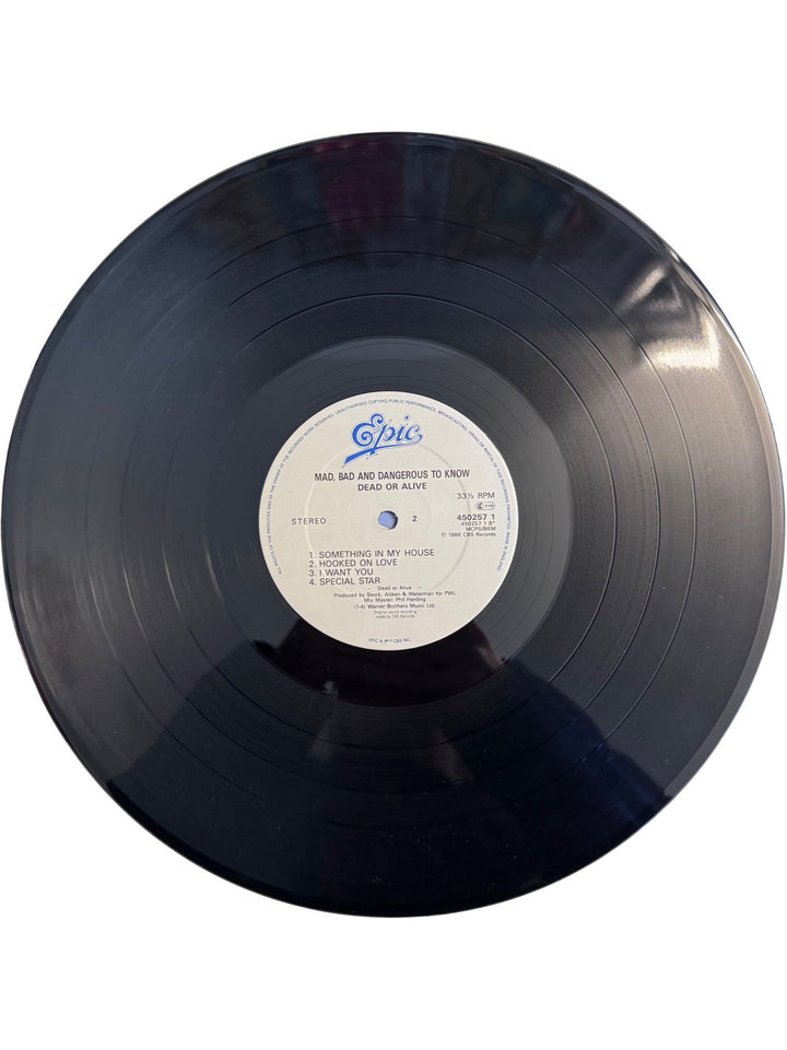 Dead Or Alive Mad Bad And Dangerous To Know Vinyl - Very Good