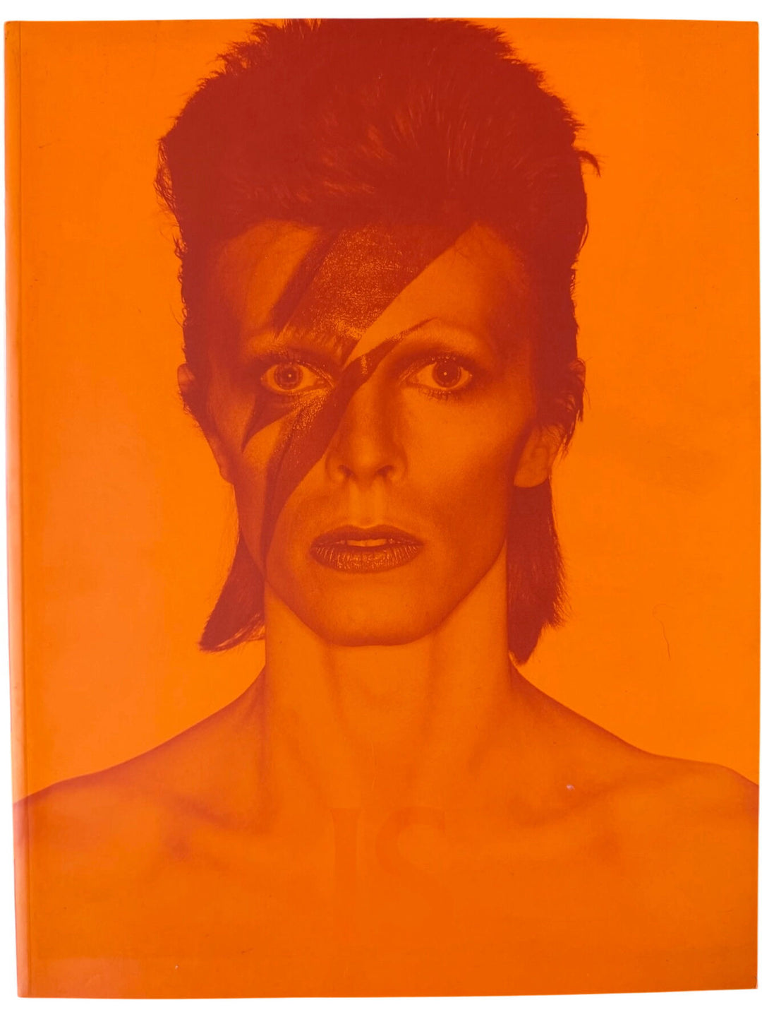 David Bowie Is Book