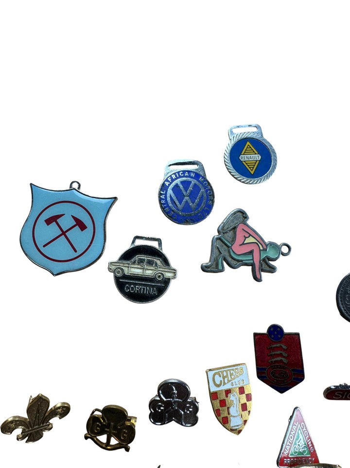 Assorted Collectible Pins and Badges Set
