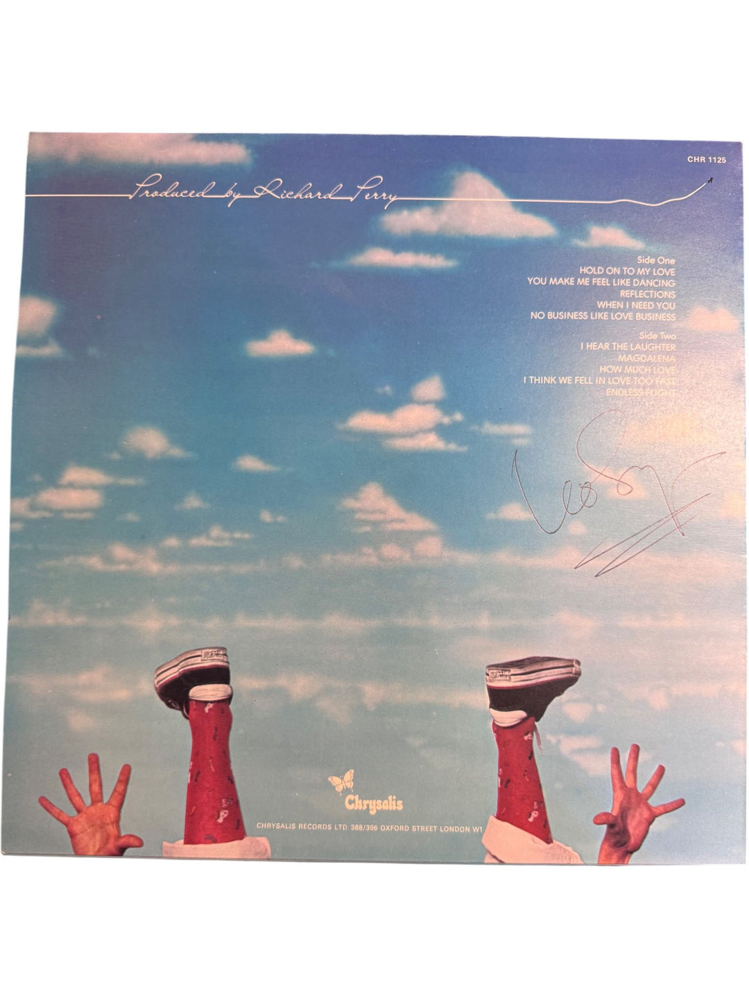 Leo Sayer Endless Flight Vinyl - Very Good